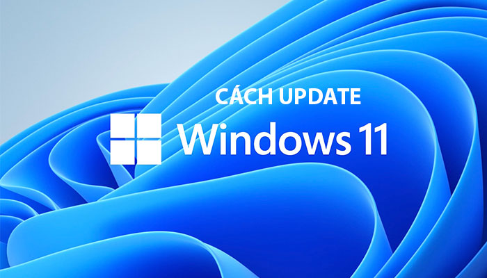 Cập nhật Windows 11: \