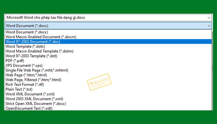 Microsoft Word cho phép lưu file dạng gì?